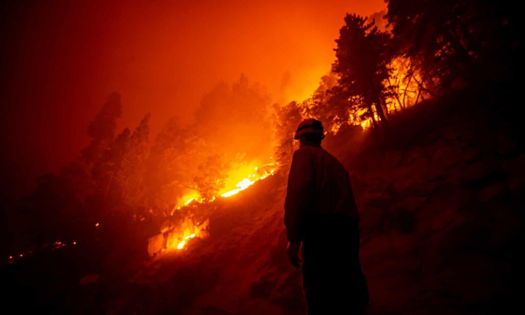 Giant sequoia found still smoldering after 2020 California wildfire