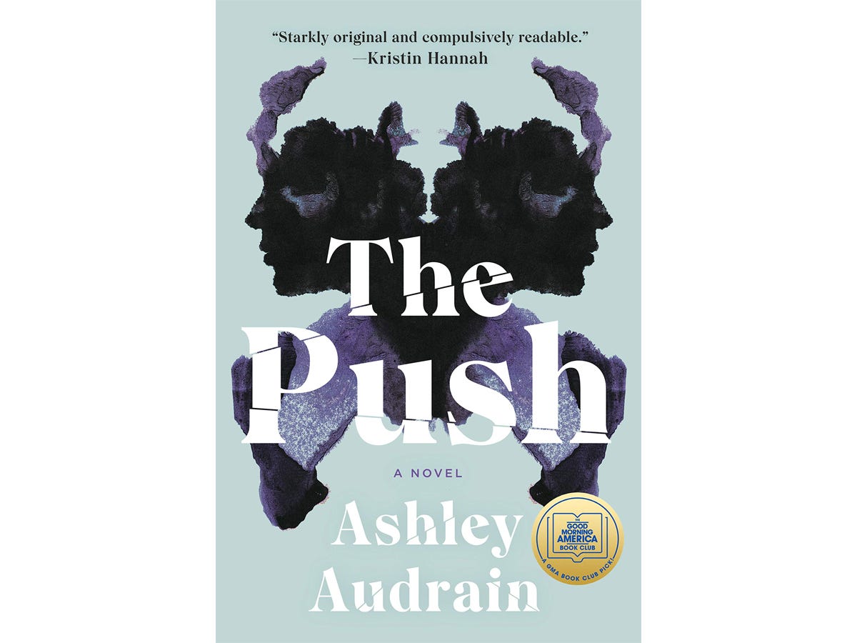 The Push by Ashely Audrian