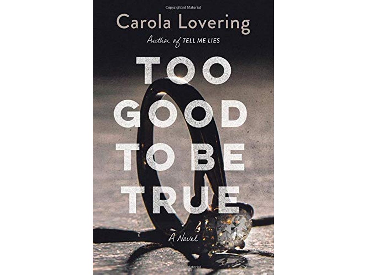 Too Good To Be True by Carola Lovering