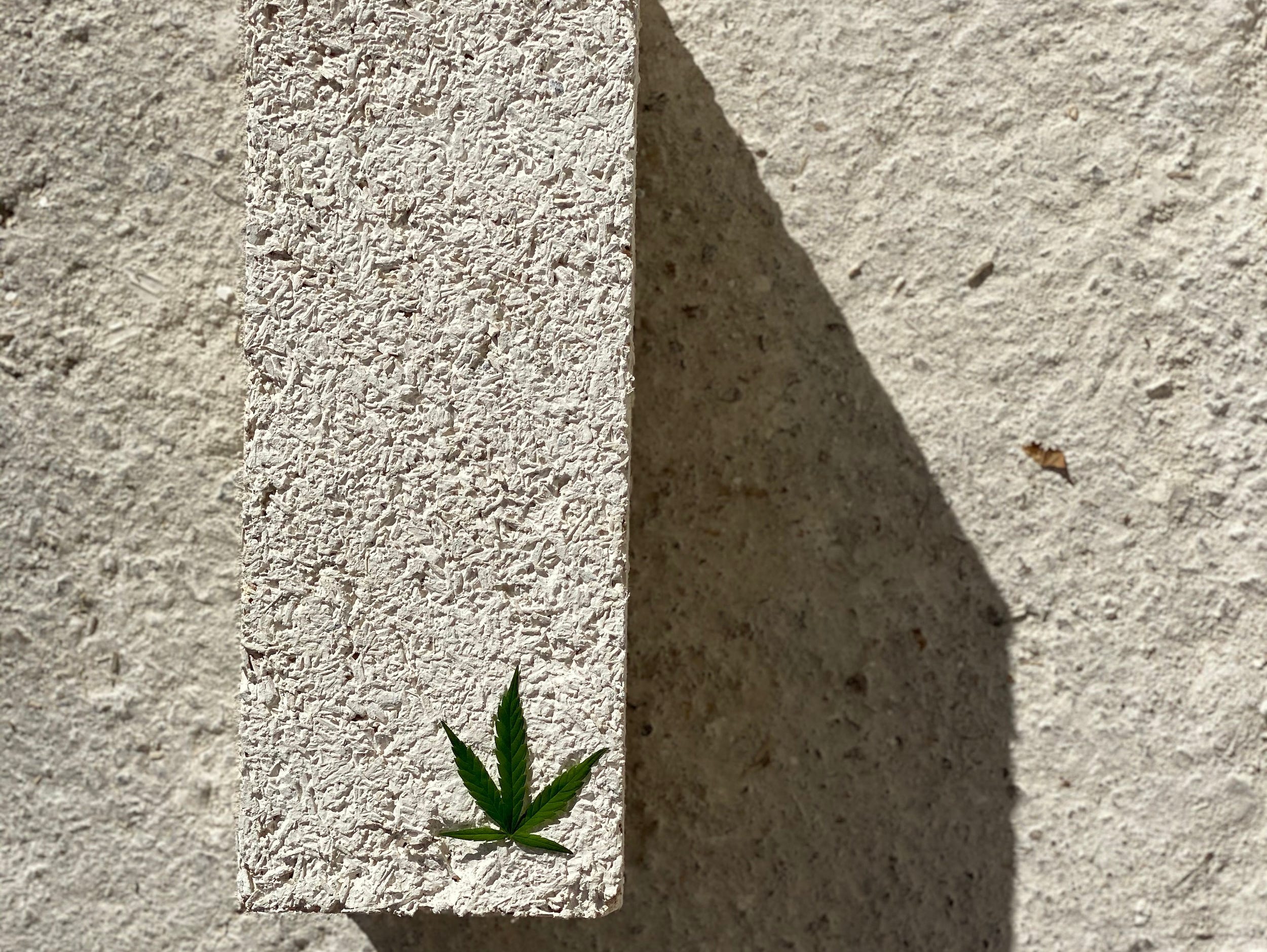 blocks of hempcrete