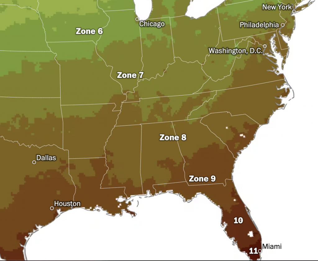 Trees are moving north as a consequence of global warming. Look up how your city could change. (washingtonpost.com)